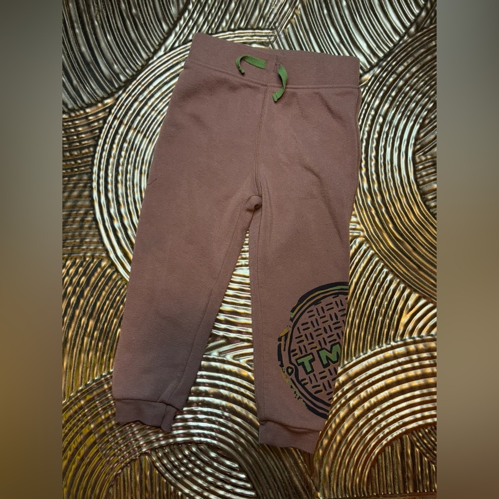 Nickelodeon Brown Joggers with Green Drawstring